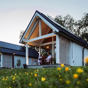Tiny house - vakantiepark de Schreiershoek